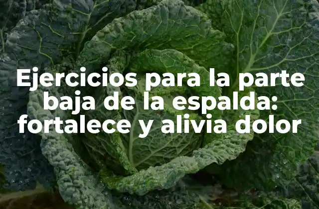 Ejercicios para la Parte Baja de la Espalda: Fortalece y Alivia Dolor