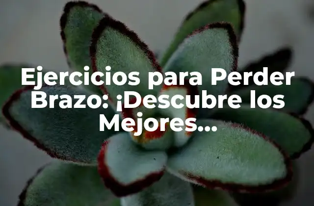 Ejercicios para Perder Brazo: ¡descubre los Mejores Entrenamientos para Tonificar Tus Brazos!