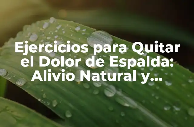 Ejercicios para Quitar el Dolor de Espalda: Alivio Natural y Efectivo