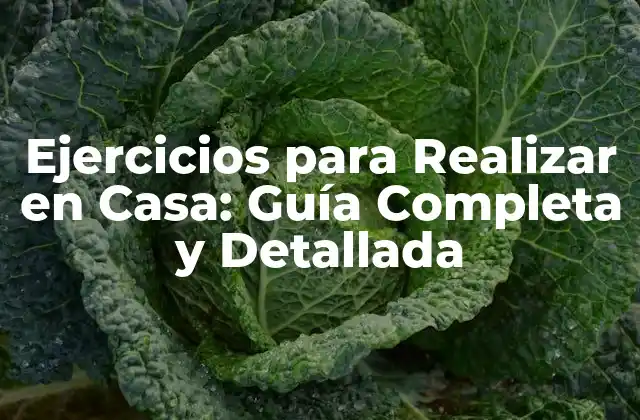 Ejercicios para Realizar en Casa: Guía Completa y Detallada
