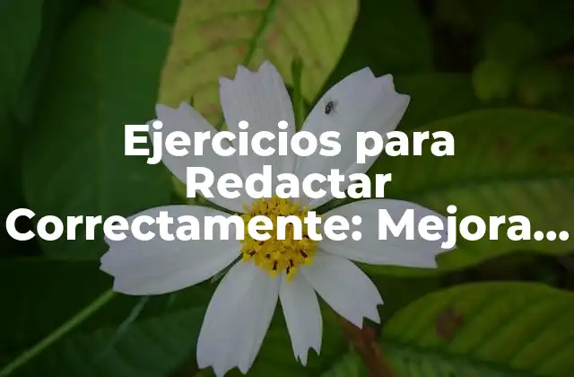 ¿Por qué son Importantes los Ejercicios para Redactar Correctamente?
