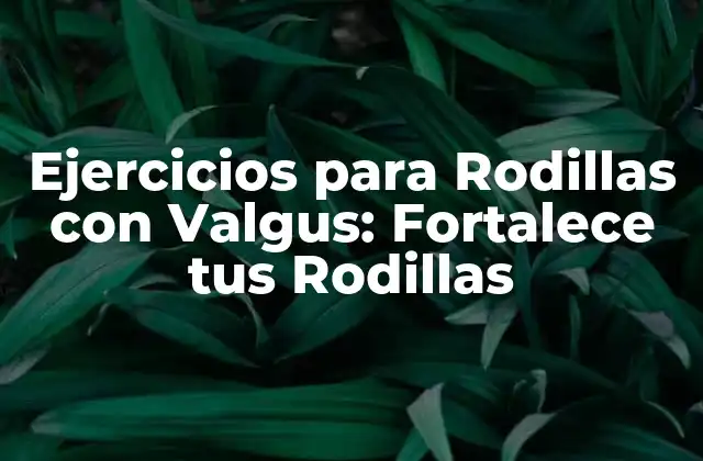 Ejercicios para Rodillas con Valgus: Fortalece Tus Rodillas