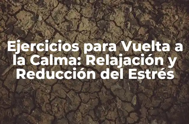 ¿Qué es la Vuelta a la Calma y por qué es Importante?