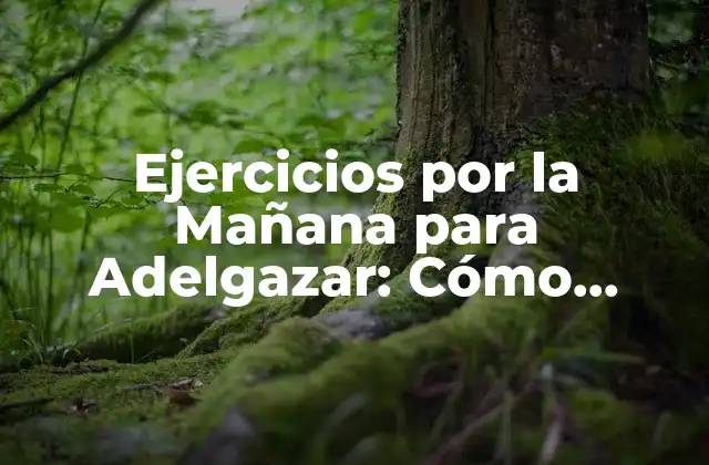 Ejercicios por la Mañana para Adelgazar: Cómo Iniciar el Día con Energía y Salud