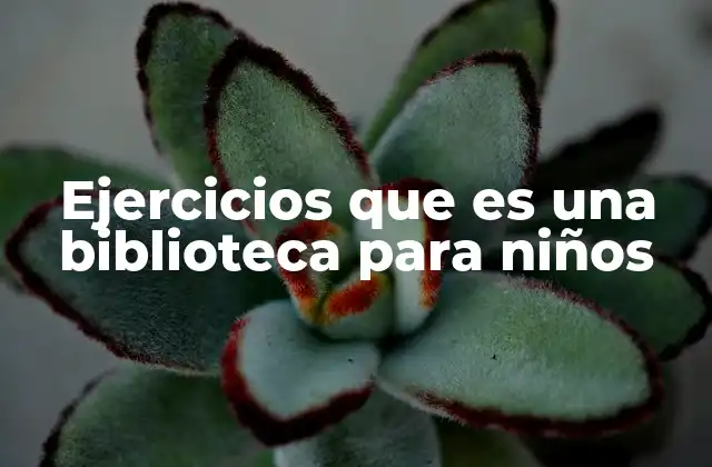Ejercicios que es una Biblioteca para Niños