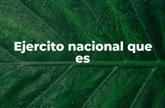 Ejercito Nacional que es