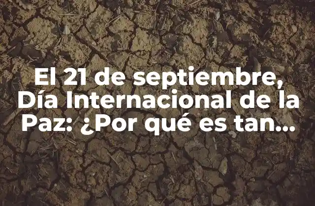 El 21 de Septiembre, Día Internacional de la Paz: ¿por Qué es Tan Importante?
