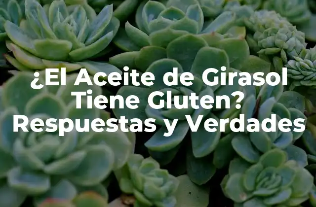 ¿el Aceite de Girasol Tiene Gluten? Respuestas y Verdades