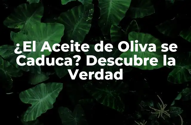 ¿el Aceite de Oliva Se Caduca? Descubre la Verdad 2 ¿Qué es la Caducidad del Aceite de Oliva?