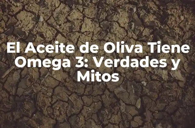 El Aceite de Oliva Tiene Omega 3: Verdades y Mitos