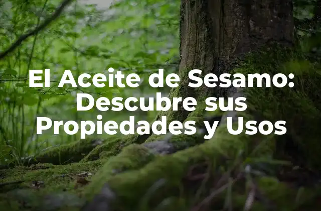 El Aceite de Sesamo: Descubre Sus Propiedades y Usos