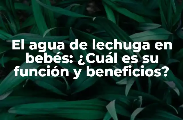 El Agua de Lechuga en Bebés: ¿cuál es Su Función y Beneficios?