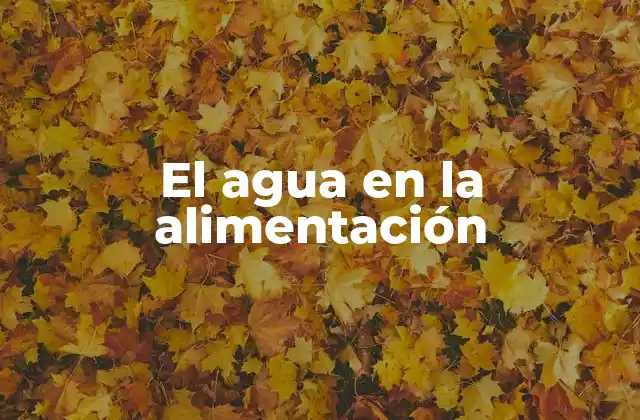 El Agua en la Alimentación