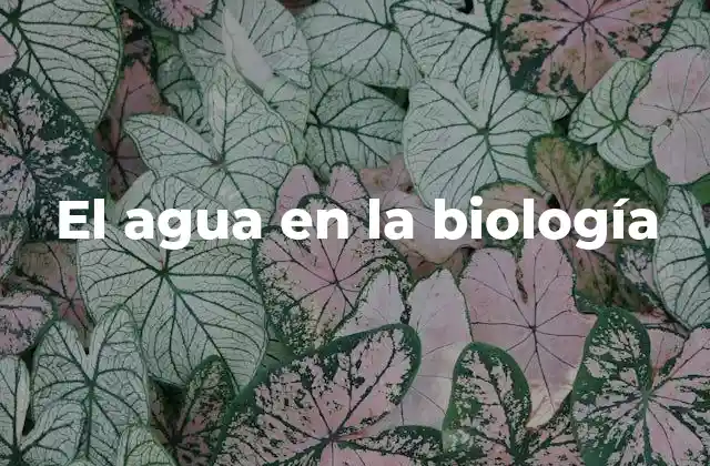 El Agua en la Biología 2 El agua como base estructural y funcional en los organismos vivos