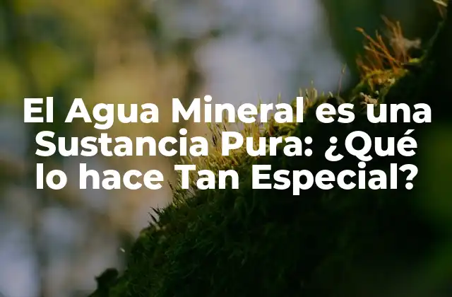 El Agua Mineral es una Sustancia Pura: ¿qué Lo Hace Tan Especial?