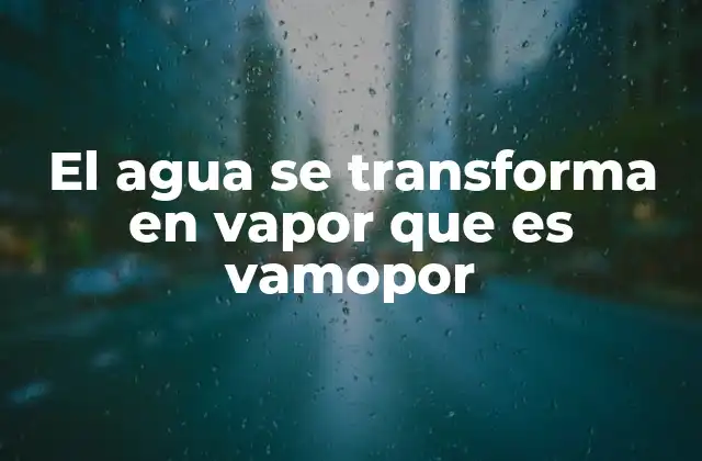 El Agua Se Transforma en Vapor que es Vamopor