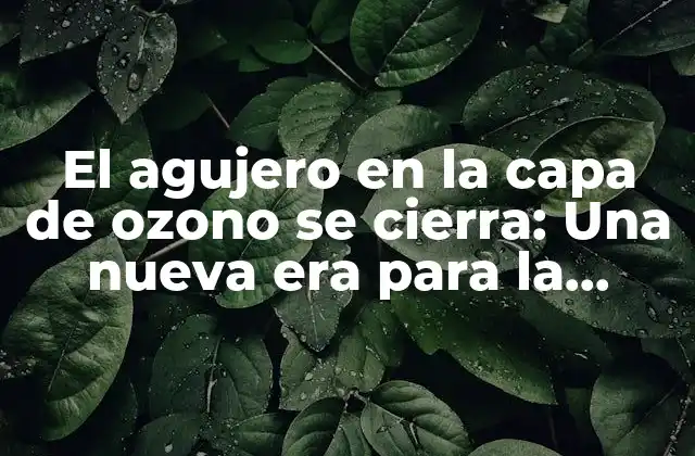 El Agujero en la Capa de Ozono Se Cierra: una Nueva Era para la Protección Del Medio Ambiente