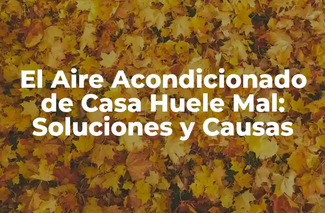El Aire Acondicionado de Casa Huele Mal: Soluciones y Causas 2 ¿Por qué el Aire Acondicionado de Casa Huele Mal?