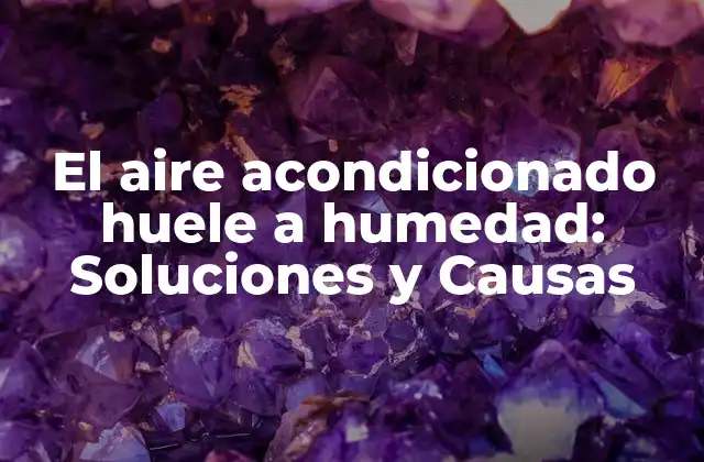 El Aire Acondicionado Huele a Humedad: Soluciones y Causas