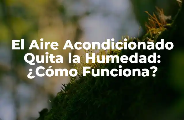 El Aire Acondicionado Quita la Humedad: ¿cómo Funciona?