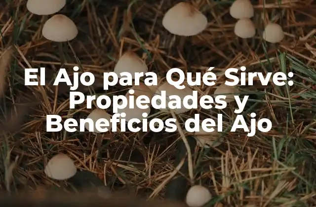 El Ajo para Qué Sirve: Propiedades y Beneficios Del Ajo
