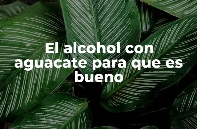 El Alcohol con Aguacate para que es Bueno