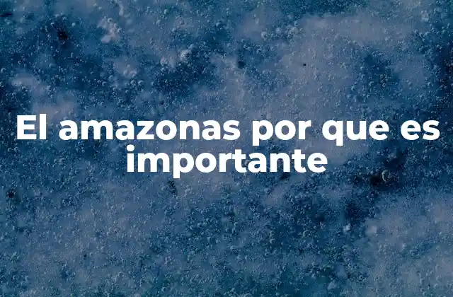 El Amazonas como un eje vital del clima global