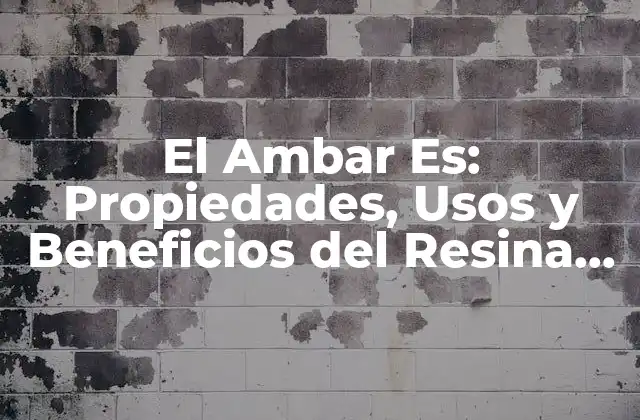 El Ambar Es: Propiedades, Usos y Beneficios Del Resina Fósil