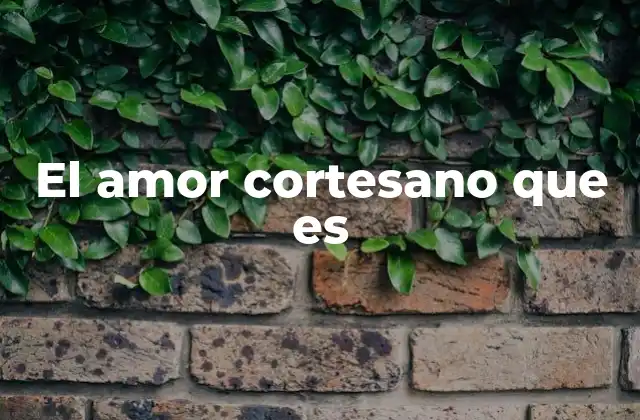 El Amor Cortesano que es