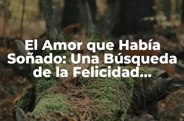 El Amor que Había Soñado: una Búsqueda de la Felicidad Verdadera