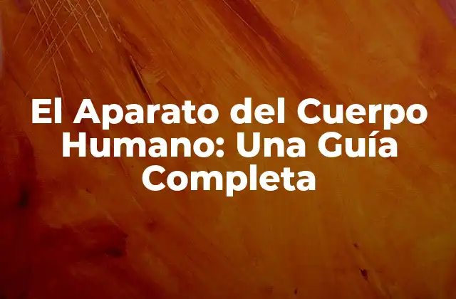 El Aparato Del Cuerpo Humano: una Guía Completa