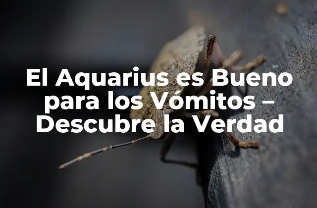 ¿Qué es el Aquarius?