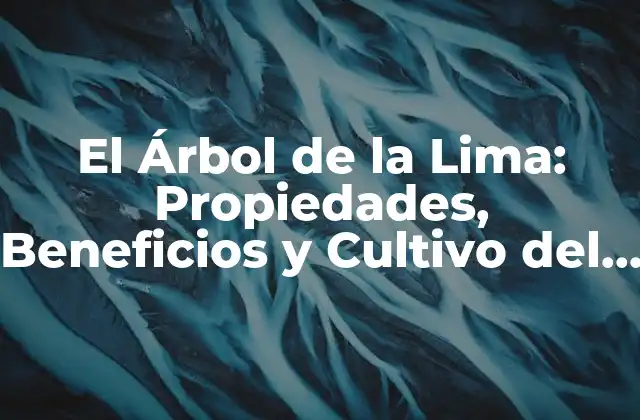 El Árbol de la Lima: Propiedades, Beneficios y Cultivo Del Árbol de la Lima