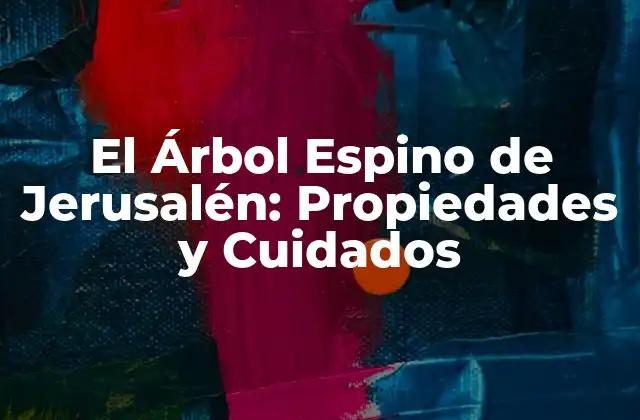 El Árbol Espino de Jerusalén: Propiedades y Cuidados