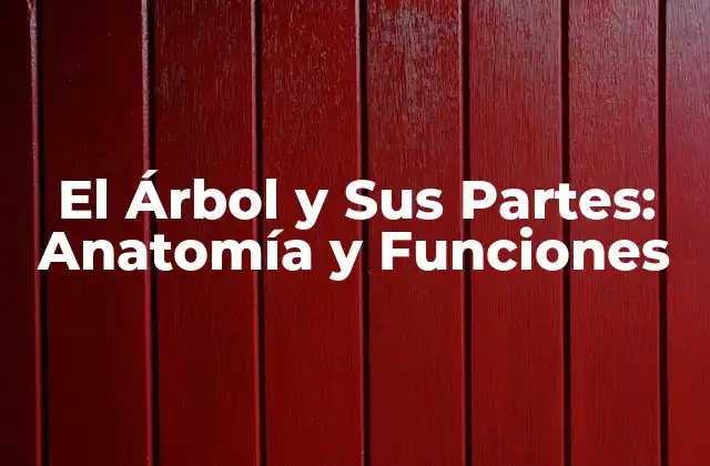 La Raíz del Árbol: Funciones y Tipos