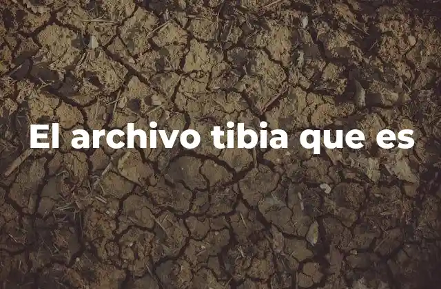 El Archivo Tibia que es
