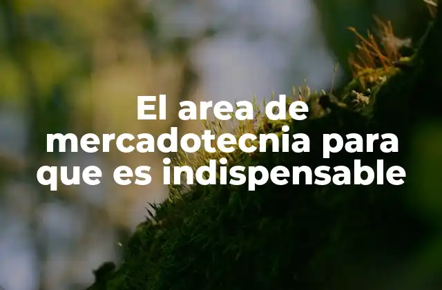 El Area de Mercadotecnia para que es Indispensable