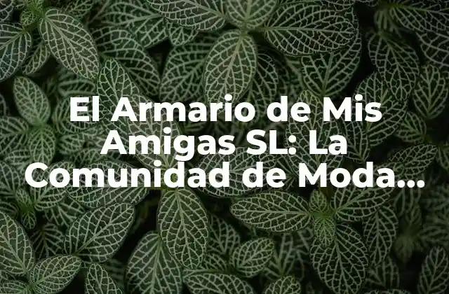 El Armario de Mis Amigas Sl: la Comunidad de Moda Sostenible