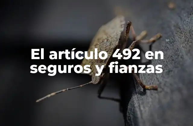 El Artículo 492 en Seguros y Fianzas