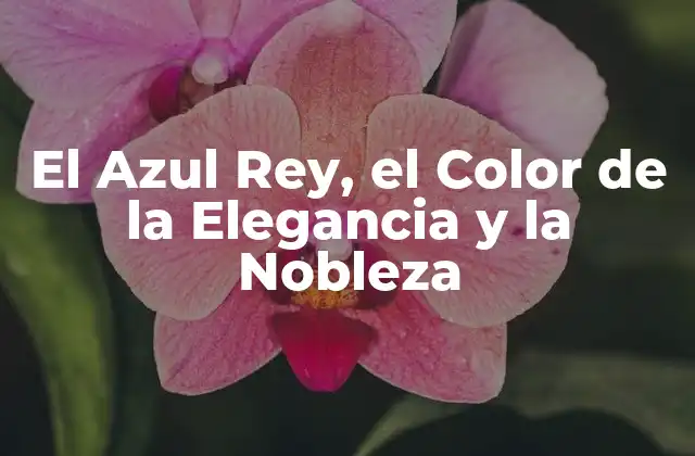 El Azul Rey, el Color de la Elegancia y la Nobleza