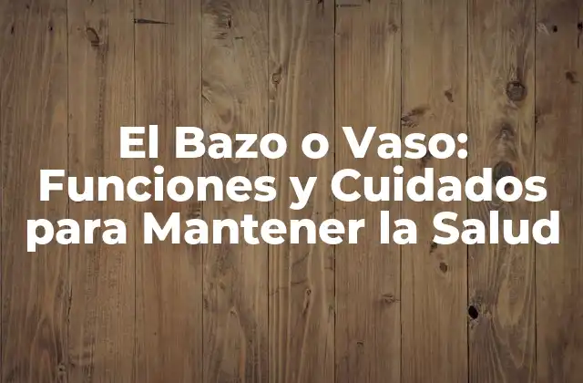 El Bazo o Vaso: Funciones y Cuidados para Mantener la Salud