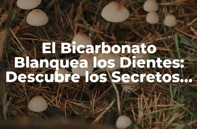 El Bicarbonato Blanquea los Dientes: Descubre los Secretos de un Sonrisa Brillante