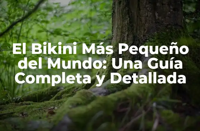 El Bikini Más Pequeño Del Mundo: una Guía Completa y Detallada