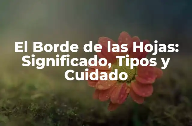 El Borde de las Hojas: Significado, Tipos y Cuidado