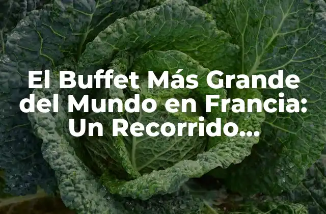 El Buffet Más Grande Del Mundo en Francia: un Recorrido Gastronómico