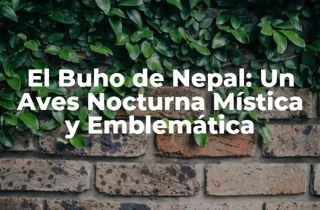 El Buho de Nepal: un Aves Nocturna Mística y Emblemática