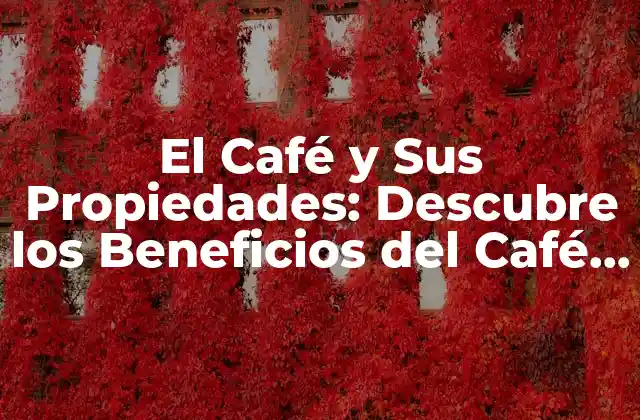 El Café y Sus Propiedades: Descubre los Beneficios Del Café para la Salud