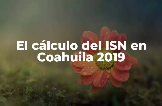 El Cálculo Del Isn en Coahuila 2019