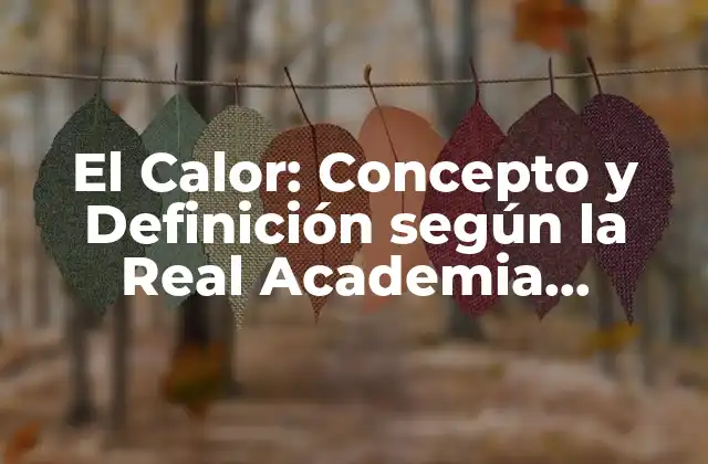 El Calor: Concepto y Definición según la Real Academia Española