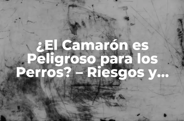 ¿el Camarón es Peligroso para los Perros? – Riesgos y Precauciones